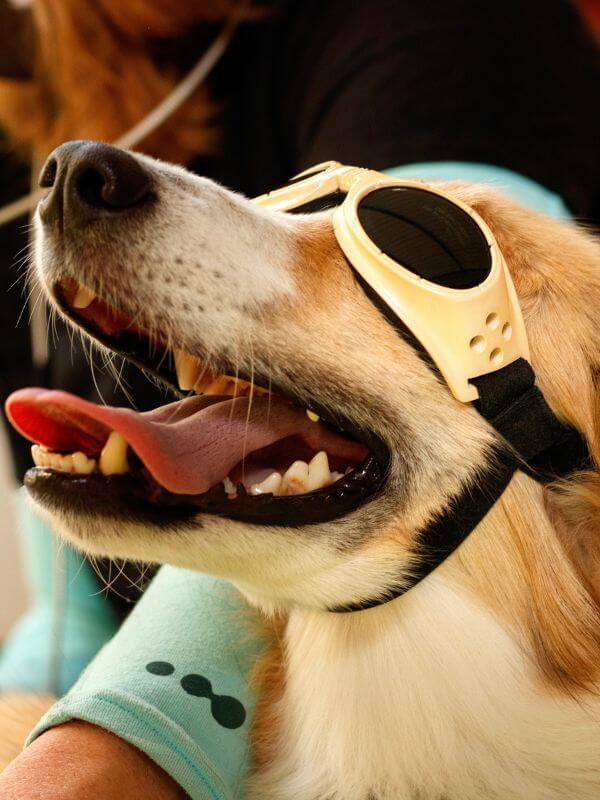 Laser Therapy