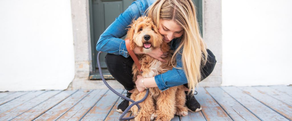 Addison's Disease in Dogs: What Every Pet Parent Should Know