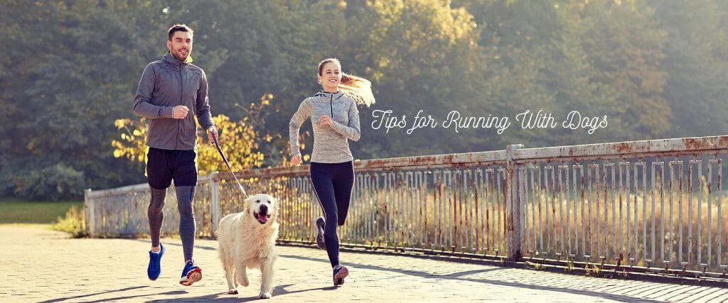 Tips For Running With Your Dog